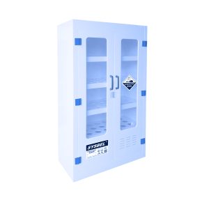 ארון אחסון עמיד לחומרים קורוזיביים SYSBEL דגם ACP810045A (170 ליטר)